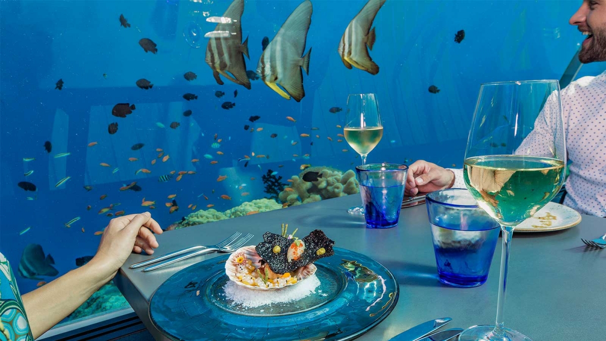 一面品尝美食 一面看海洋生物畅游
