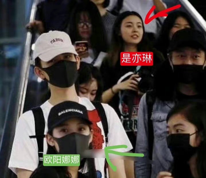 站姐曾磕过他和欧阳娜娜