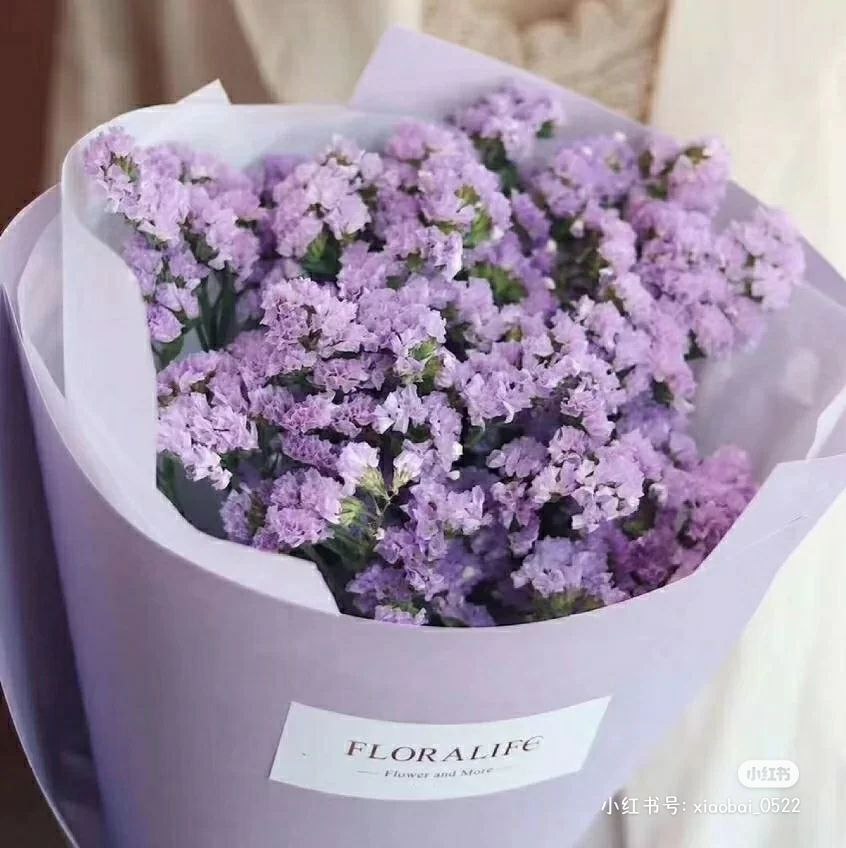#勿忘我的花语