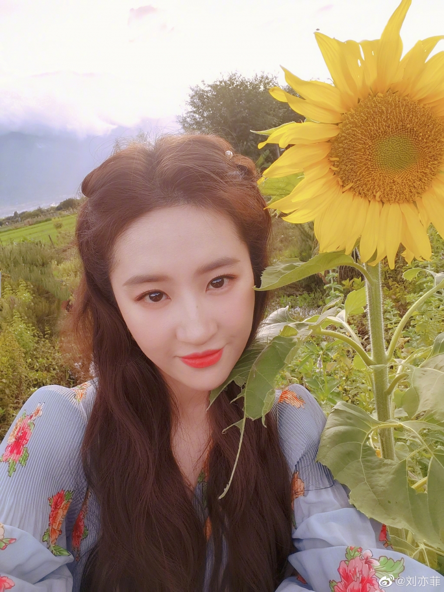 美国偶遇刘亦菲