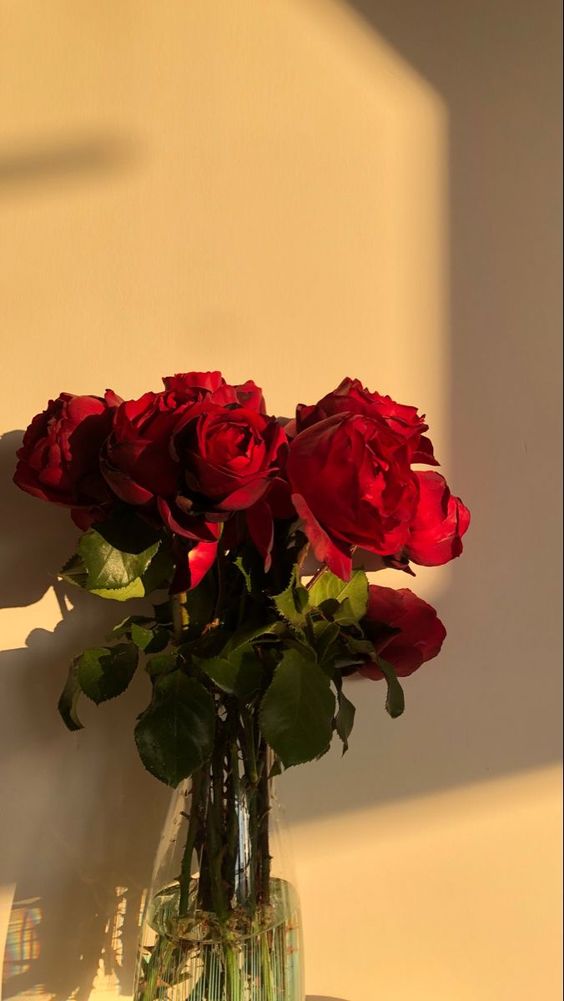 #玫瑰花的花语