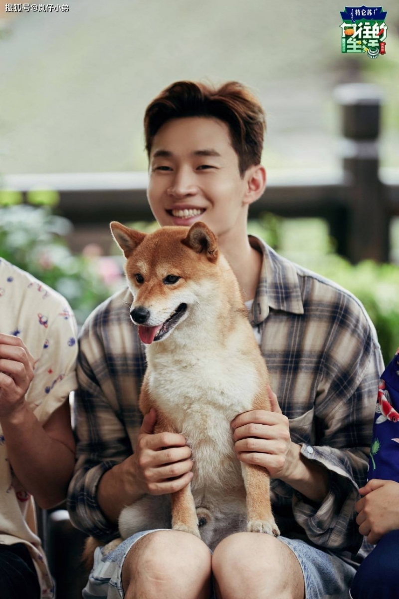 刘宪华回归引发期待