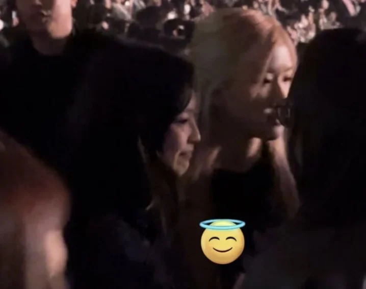 Jennie、Rosé也有被网友们捕捉私下的模样