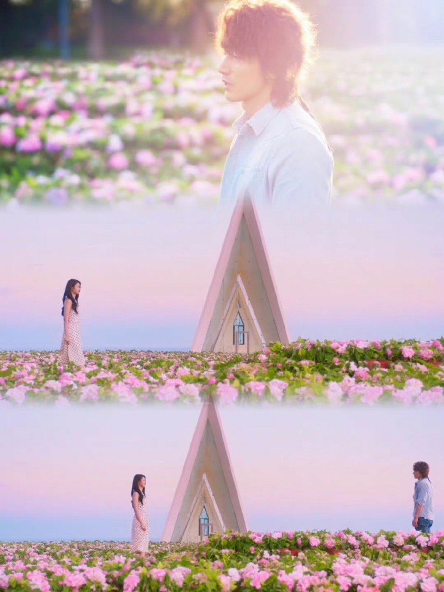 最后的花海相拥是 OE（open ending，开放式结局）