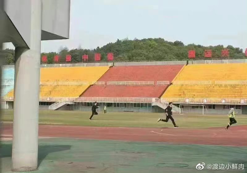 猎人追捕画面超壮观