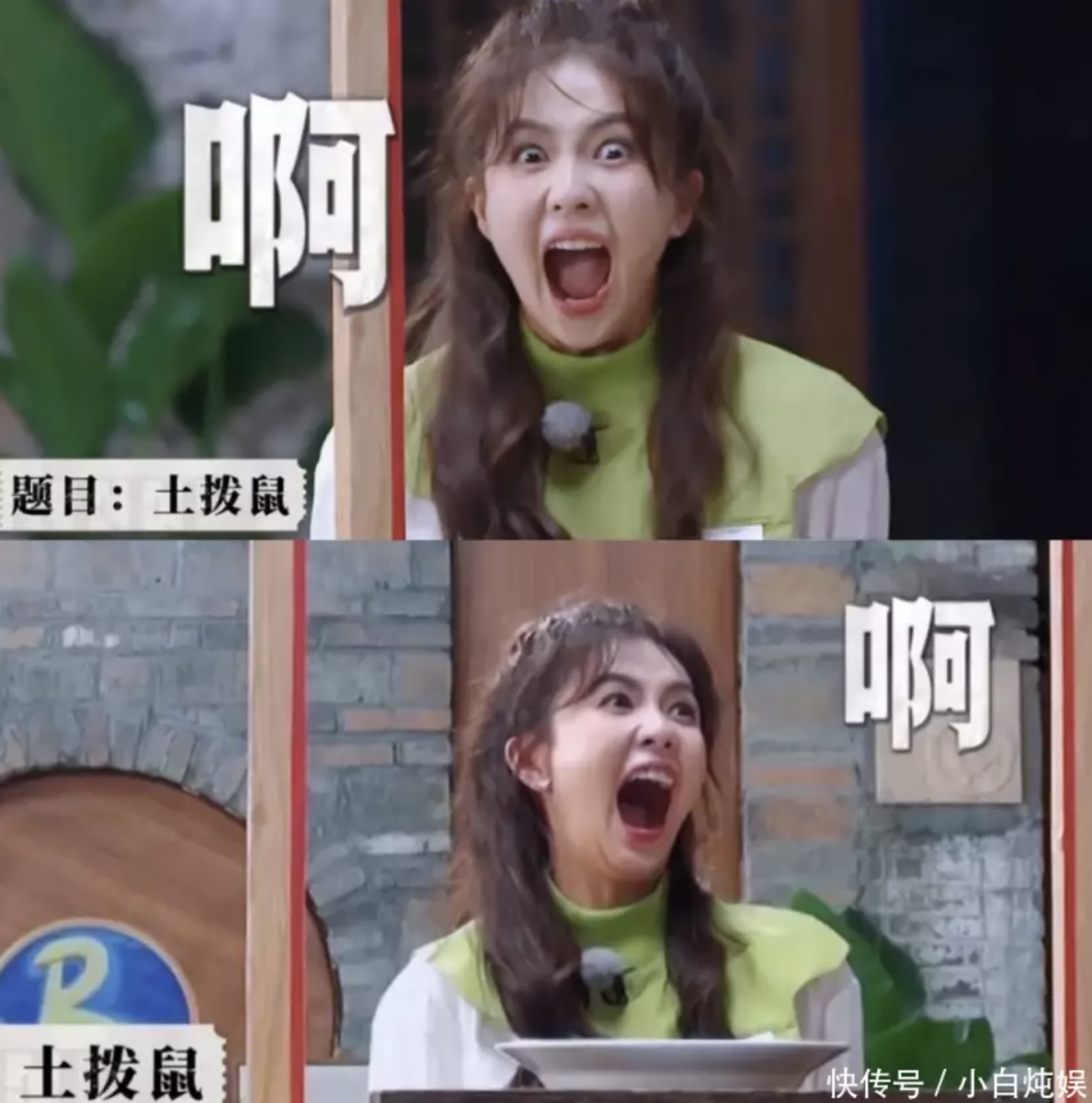 白鹿变受捧的女嘉宾