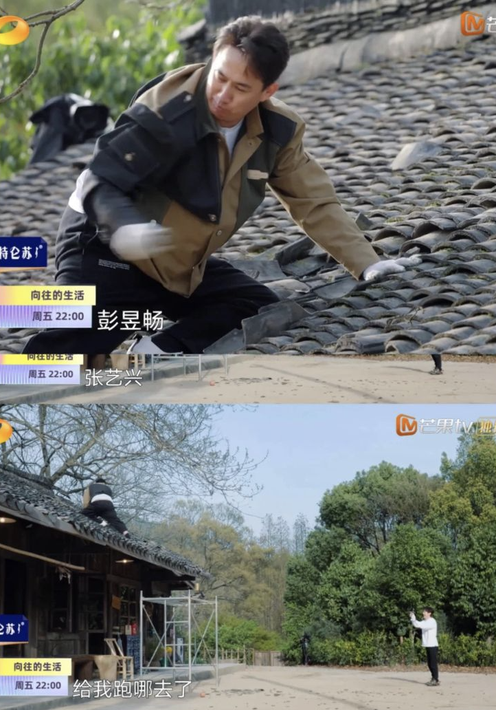 释出预告片惹泪流