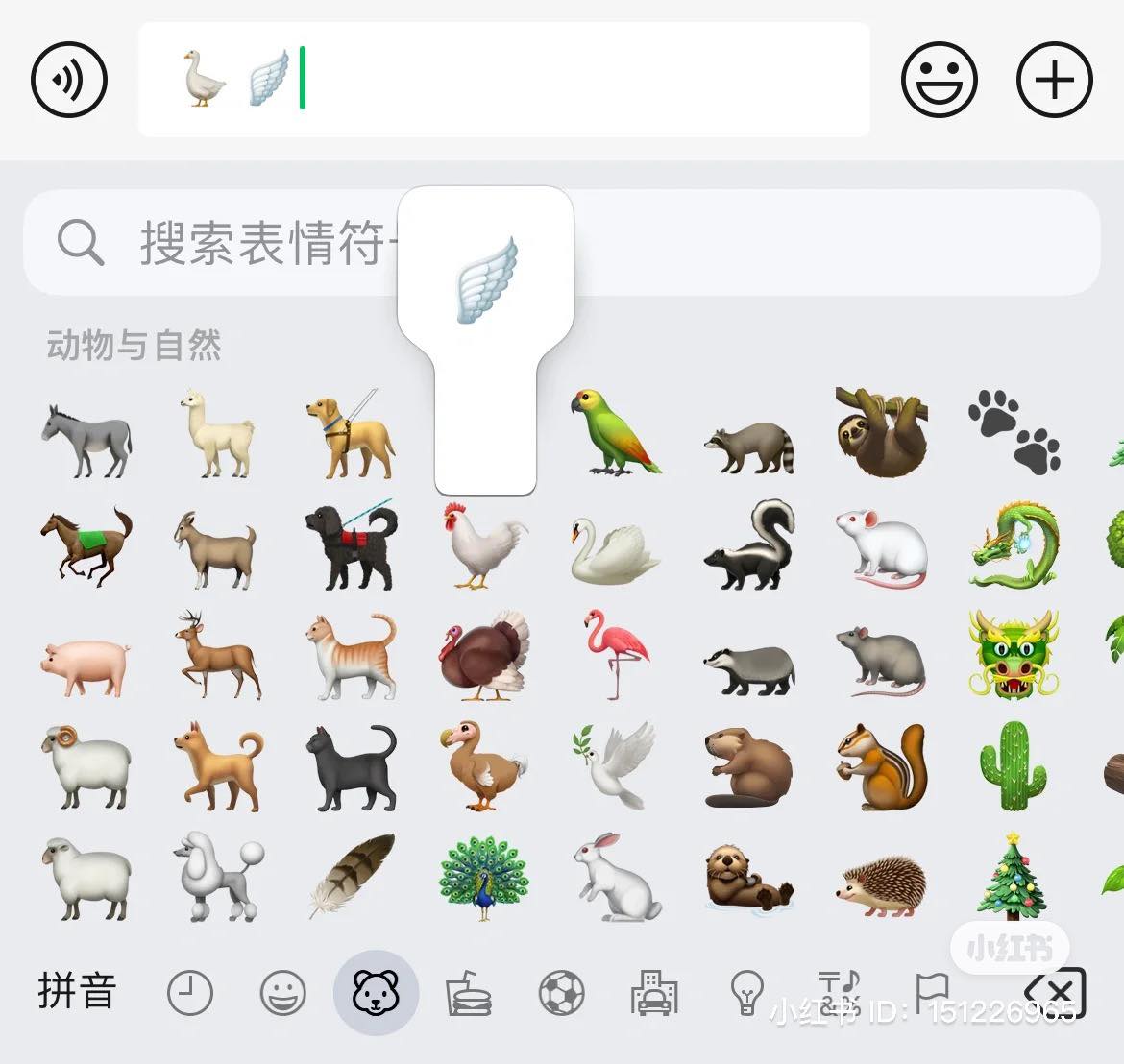 翅膀
