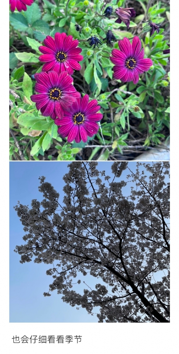 向粉丝展示了她最近在玩的游戏