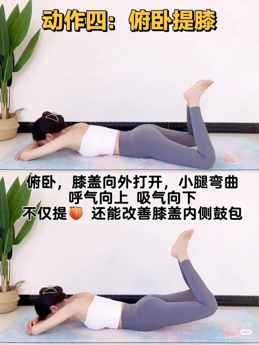 动作四：俯卧提膝——30个 X 3组