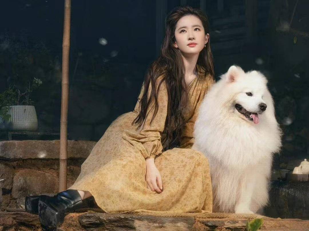 粉丝担心剧情太老套不利于刘亦菲的口碑