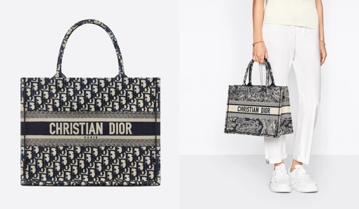 6、DIOR Medium Dior Book Tote