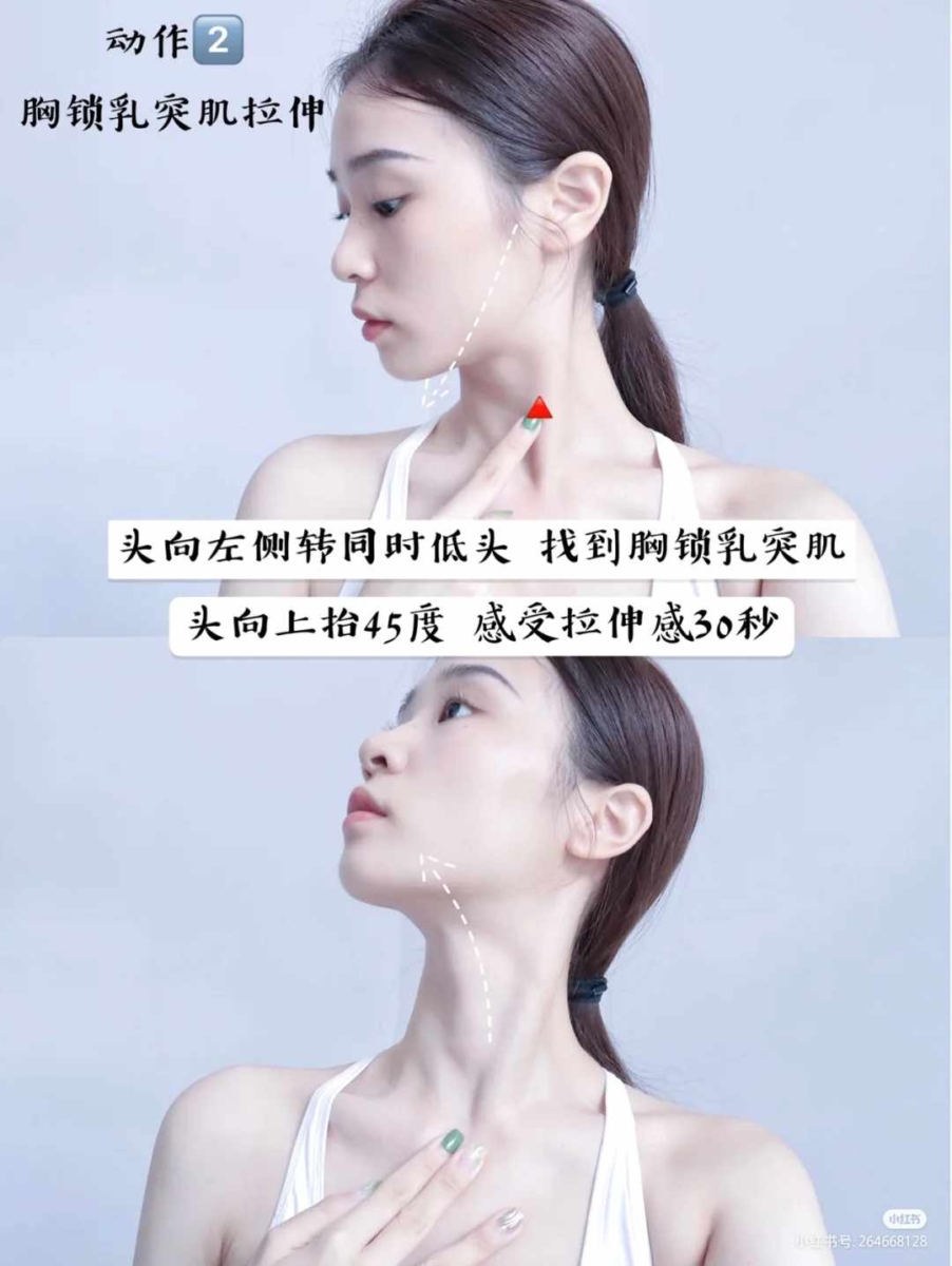 动作2、胸锁乳突肌拉伸