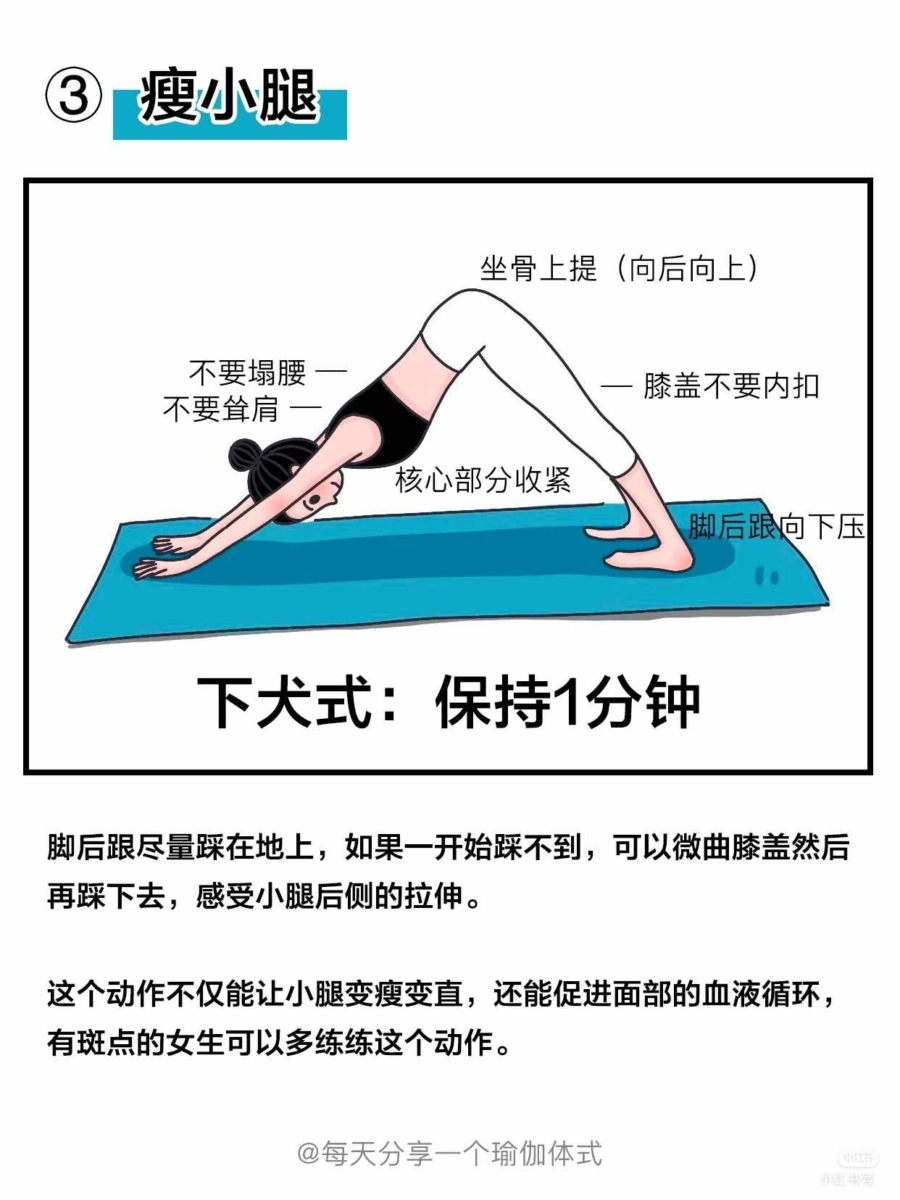 Step 3、下犬式：保持1分钟