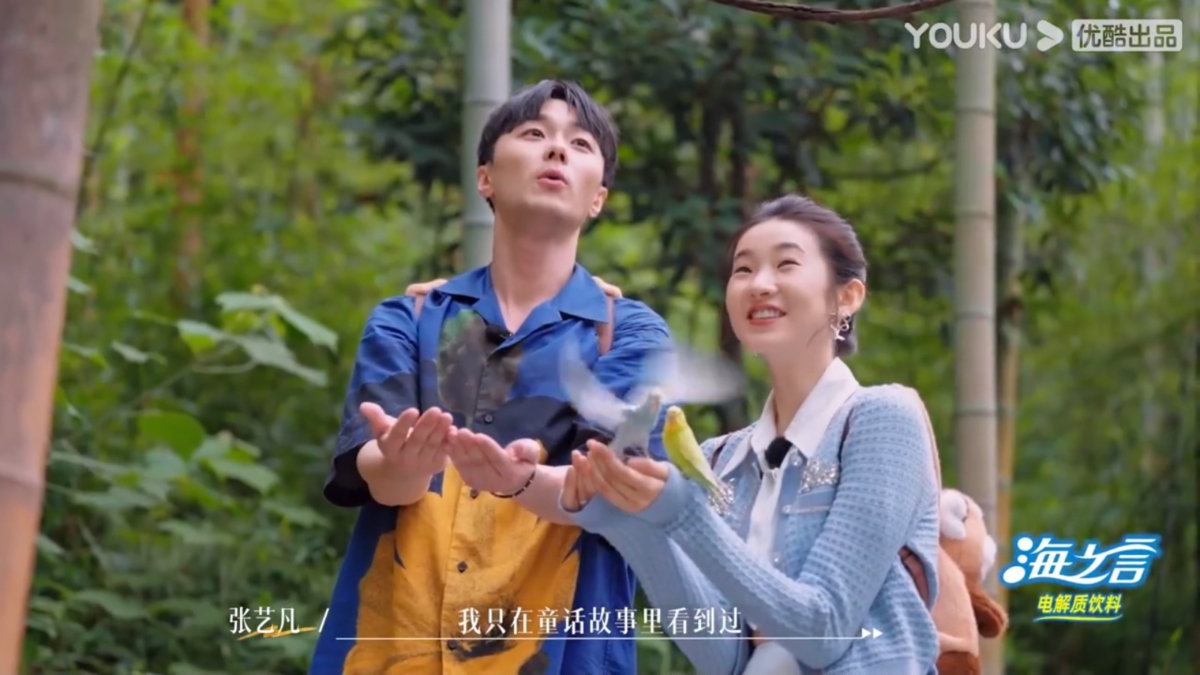 为了让搭档们“培养默契”，组织他们外出约会