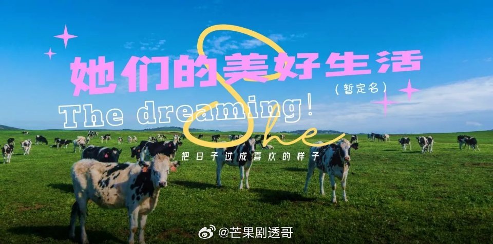 《她们的美好生活》