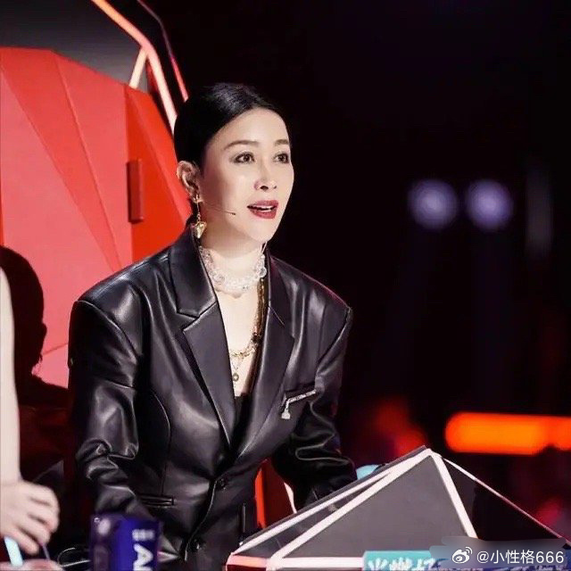 《好声音》那英