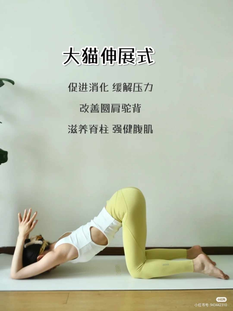 5、大猫伸展式