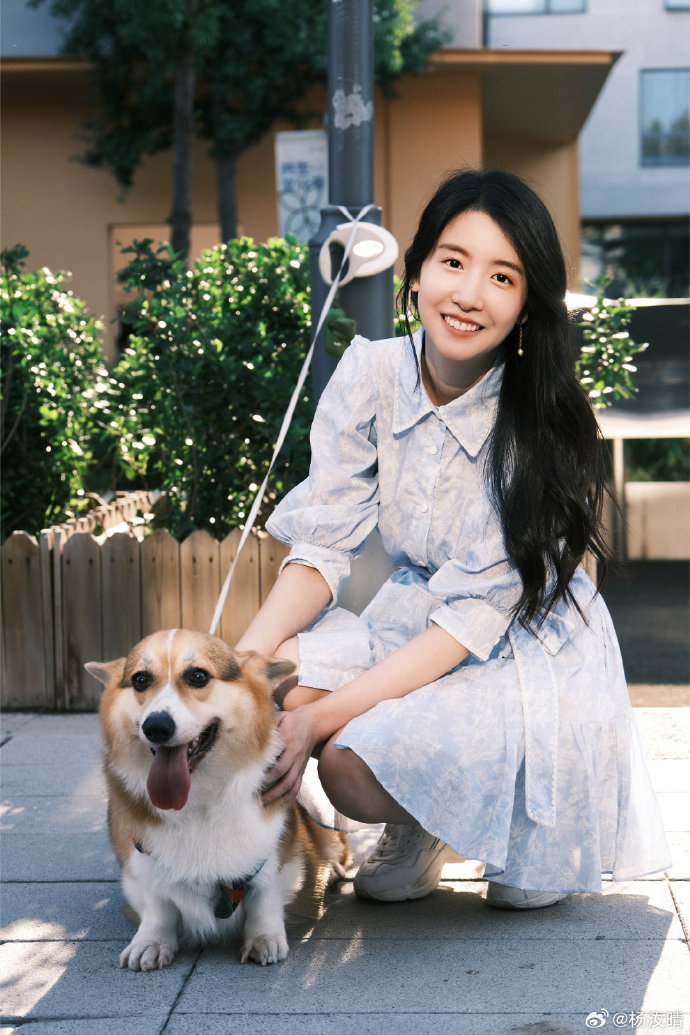 杨汝晴