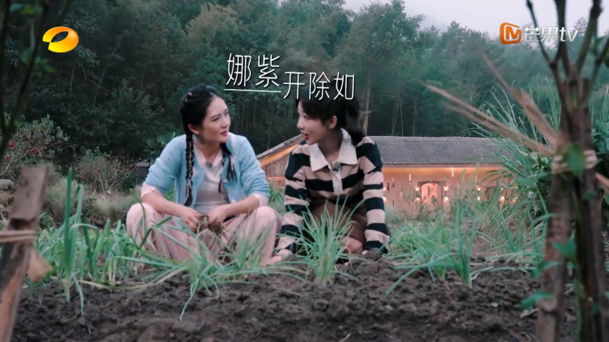 《向往的生活》敷衍版？