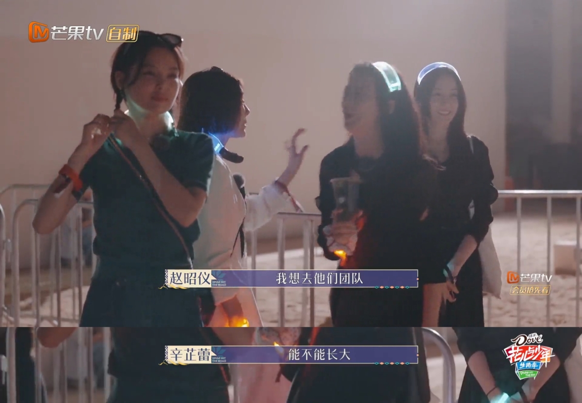 赵昭仪无心说错话