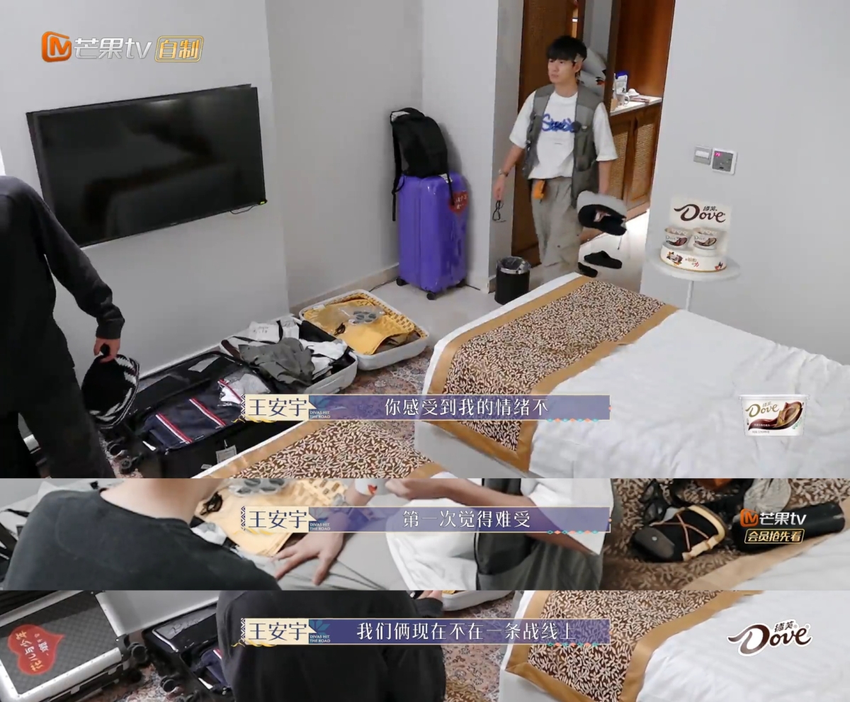 王安宇胡先煦当晚就把话聊开