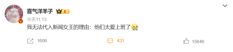 无法代入新闻女王的理由