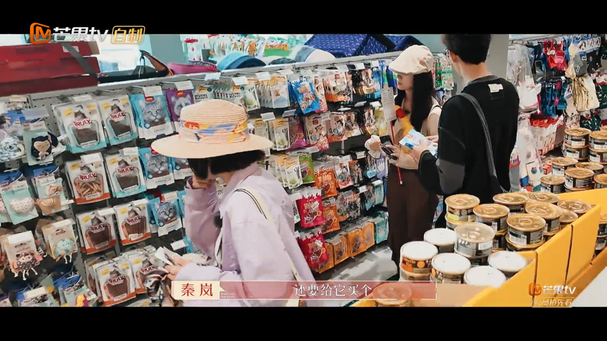 秦岚自费帮小猫预付诊疗费和食物用品费