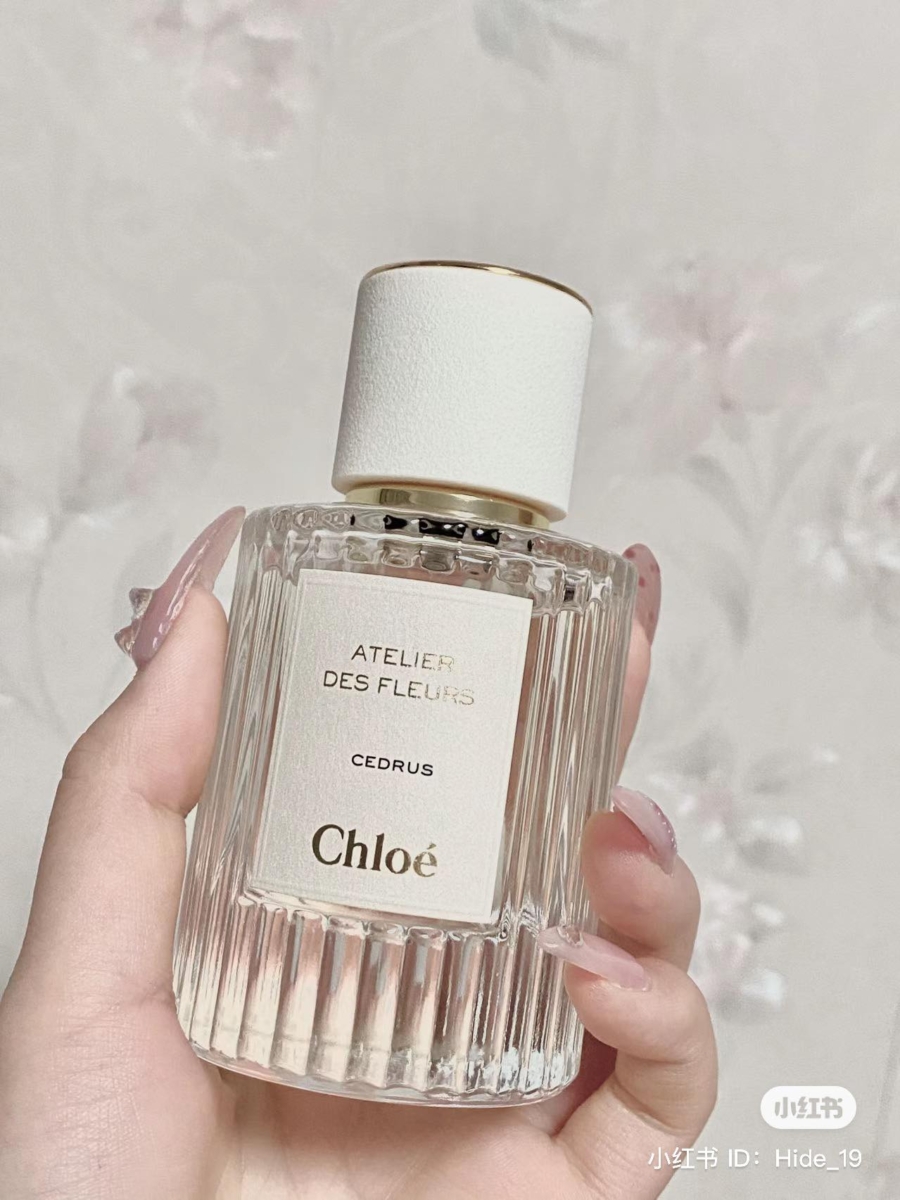 Chloé 北国雪松