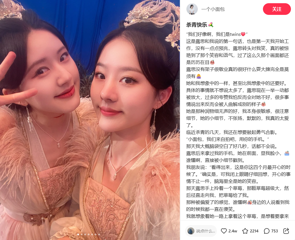 赵露思替身杀青小作文