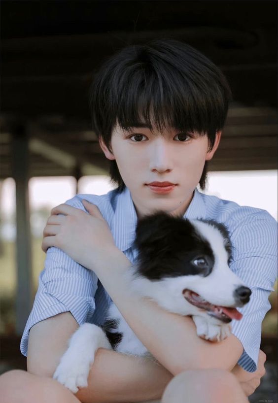 2024年生肖运势排行榜