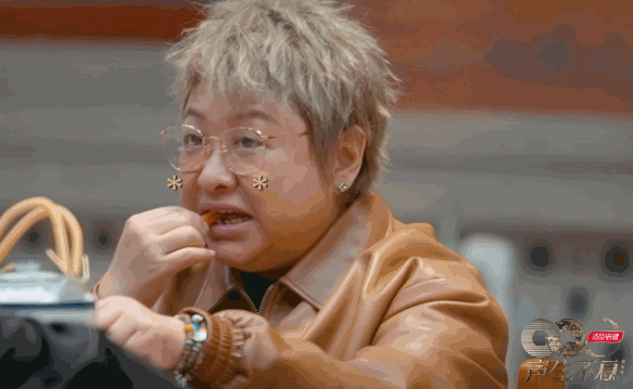 《声生不息.家年华季》