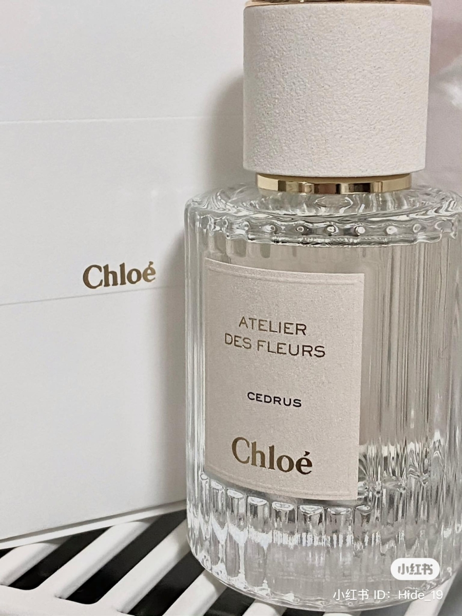 营造出干净温柔的暖意