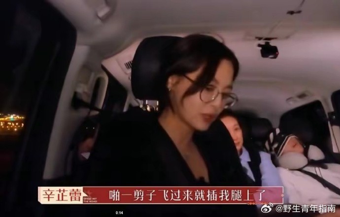 《花儿与少年》