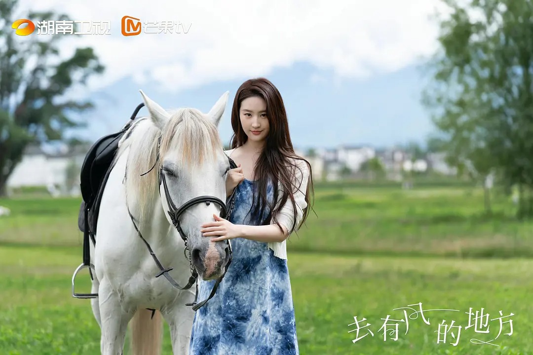 《去有风的地方》