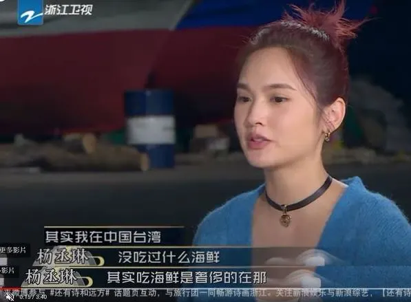 杨丞琳