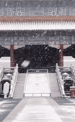 静谧雅致的庭院深深