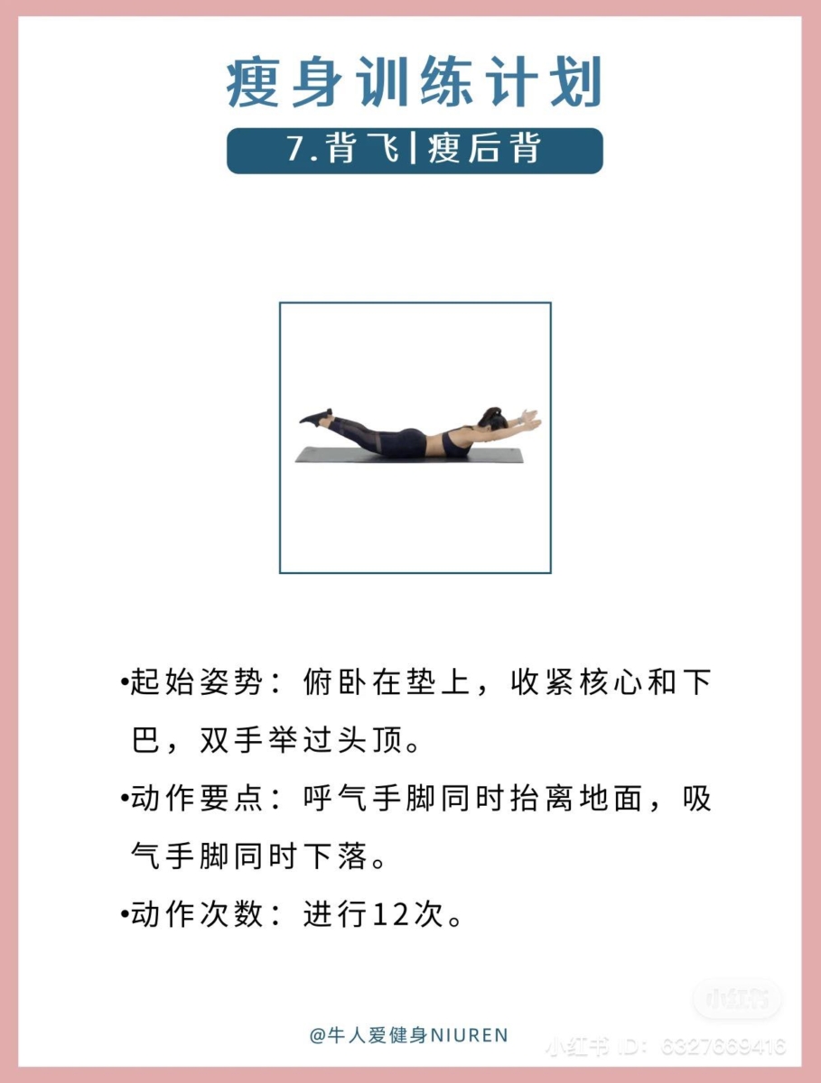 背飞
