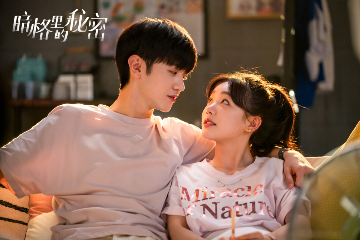 NO.5《暗格里的秘密》主演:陈哲远,徐梦洁