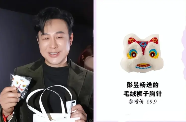 准备的毛绒狮子胸针在某宝上价值9.9元
