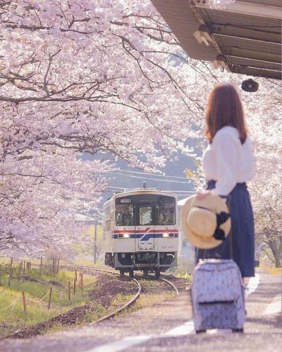 女生该为自己安排一场 Solo Trip