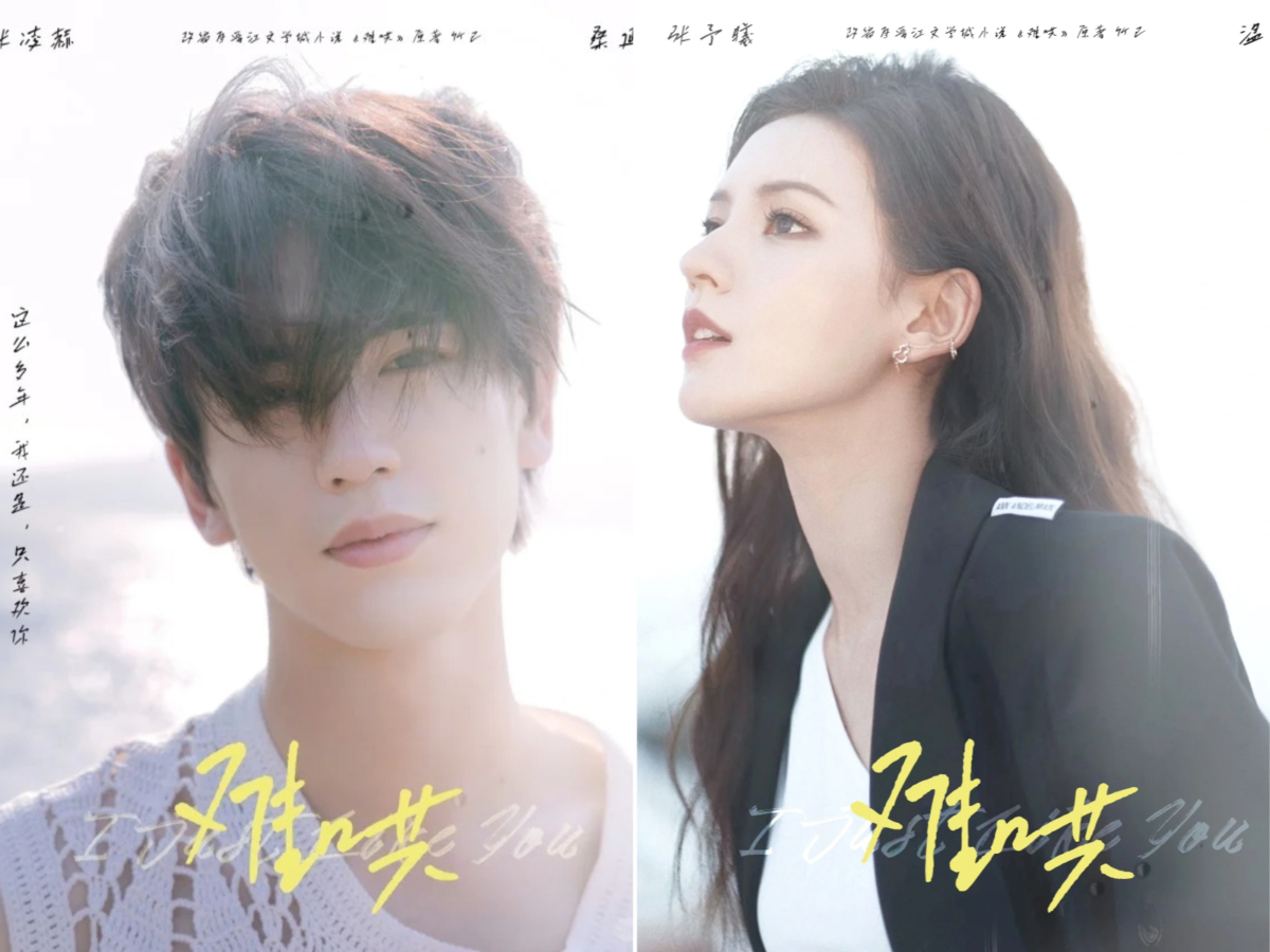网友心目中理想的阵容是张凌赫和张予曦