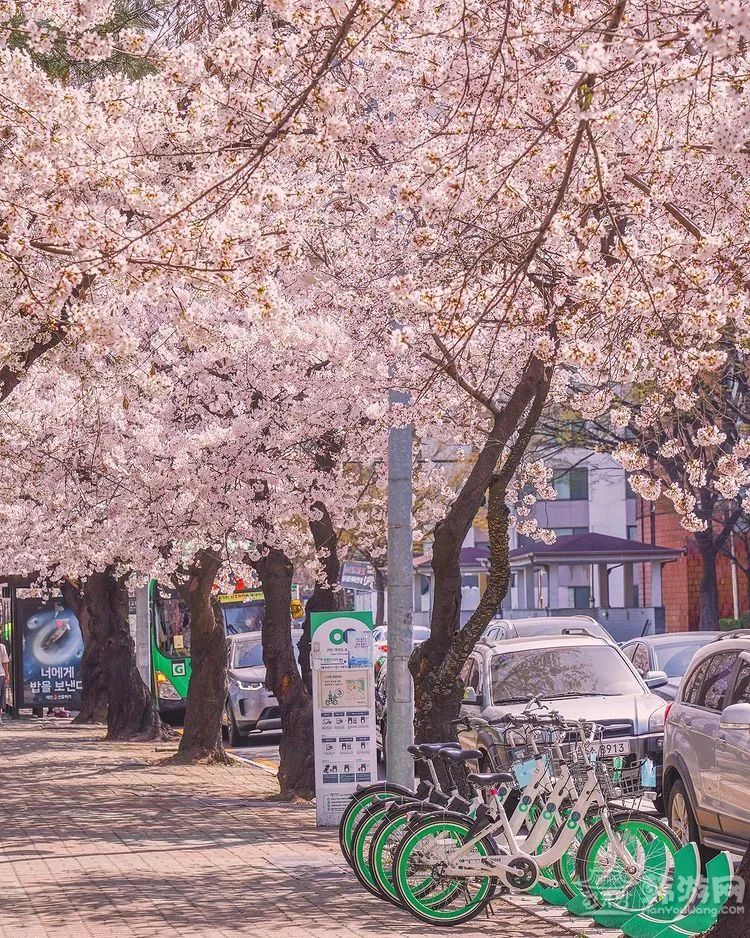 小红书 @走吧！我们旅行去！