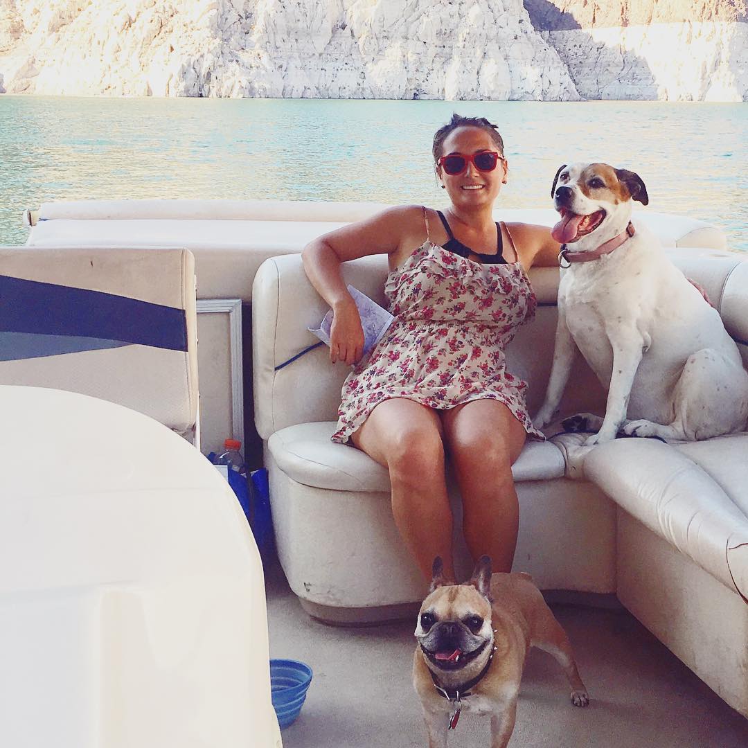 研究其他人的方法增加被动收入