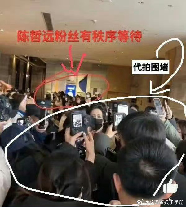 陈哲远粉丝澄清
