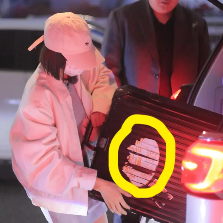 《花儿与少年》