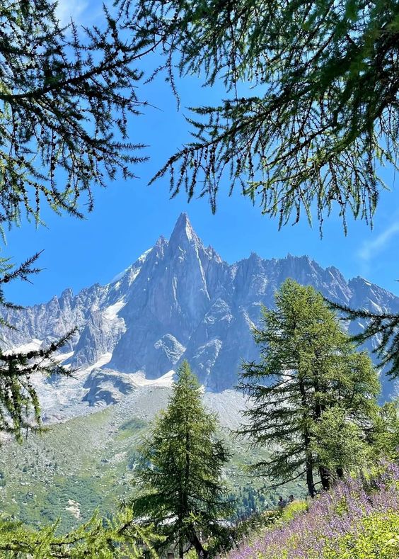 法国 阿尔卑斯山南针峰
