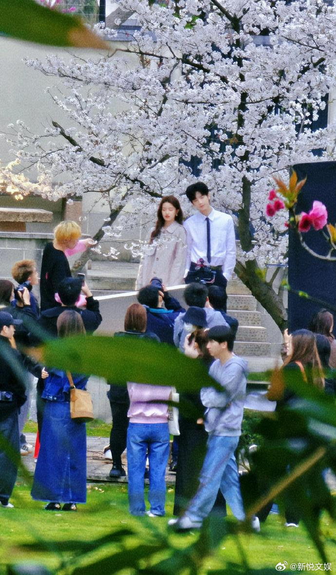 张凌赫与徐若晗路透