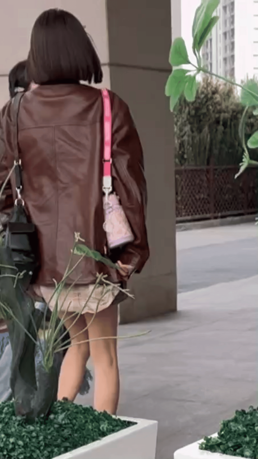 《花儿与少年》