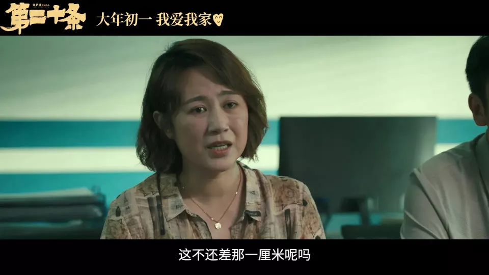 马丽《第二十条》